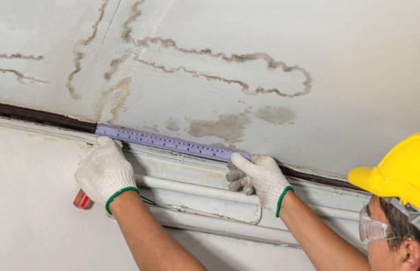 Reliable Water Damage Repair contractor in Fraser, MI by Local Water Damage Repair